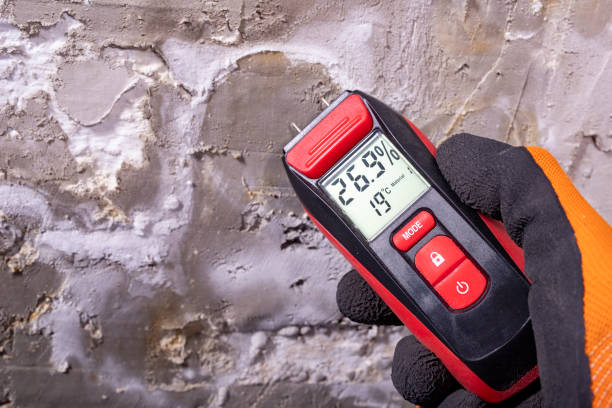 Trusted Snow Hill, NC Mold Removal Experts